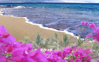 IRAN1BEACH1